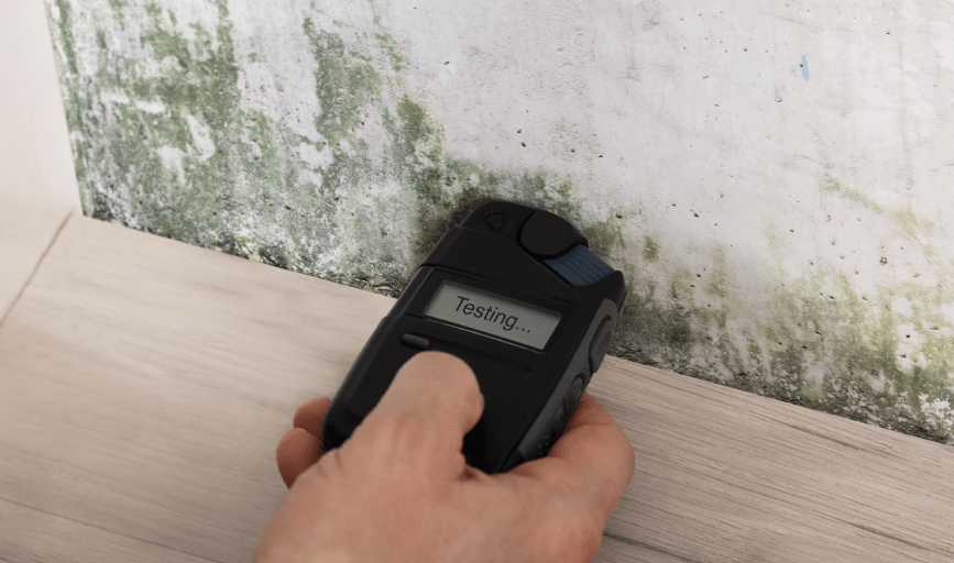 Mold Inspection